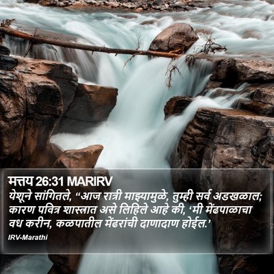 मत्तय 26:31 MARIRV Bible Verse Image