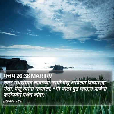 मत्तय 26:36 MARIRV Bible Verse Image