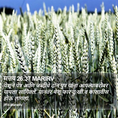 मत्तय 26:37 MARIRV Bible Verse Image