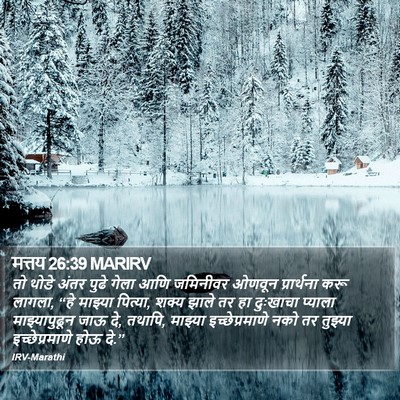 मत्तय 26:39 MARIRV Bible Verse Image