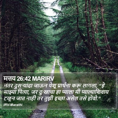 मत्तय 26:42 MARIRV Bible Verse Image