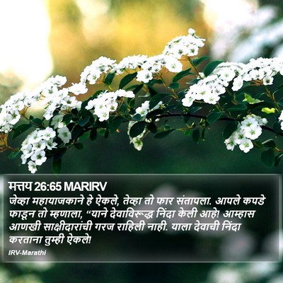 मत्तय 26:65 MARIRV Bible Verse Image