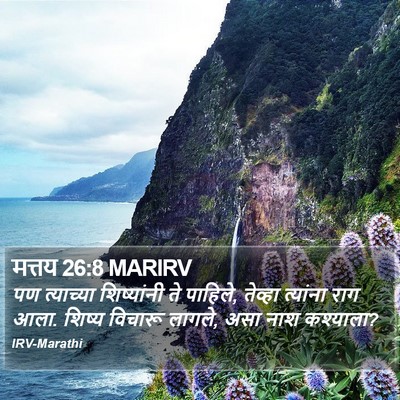 मत्तय 26:8 MARIRV Bible Verse Image