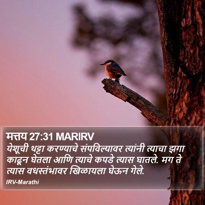 मत्तय 27:31 MARIRV Bible Verse Image