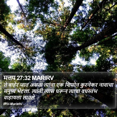 मत्तय 27:32 MARIRV Bible Verse Image