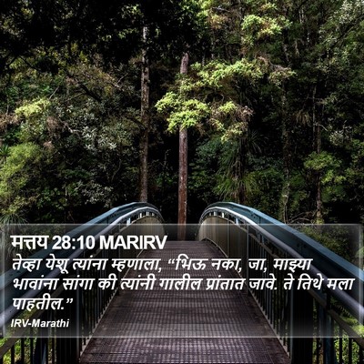 मत्तय 28:10 MARIRV Bible Verse Image