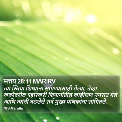 मत्तय 28:11 MARIRV Bible Verse Image