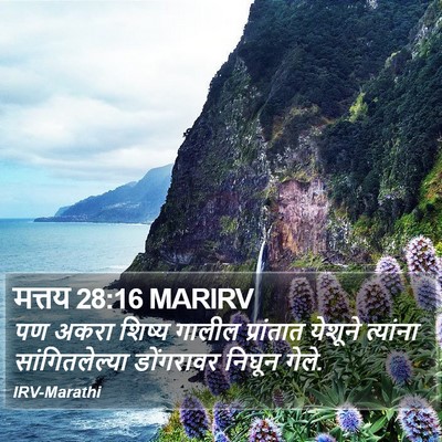 मत्तय 28:16 MARIRV Bible Verse Image