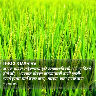 मत्तय 3:3 MARIRV Bible Verse Image