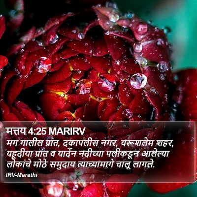 मत्तय 4:25 MARIRV Bible Verse Image