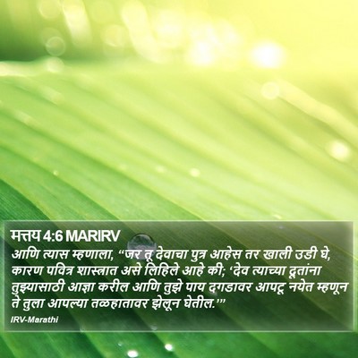 मत्तय 4:6 MARIRV Bible Verse Image