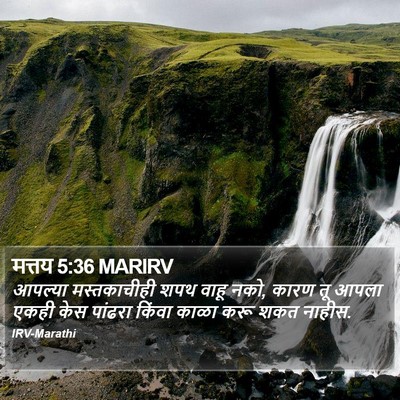 मत्तय 5:36 MARIRV Bible Verse Image