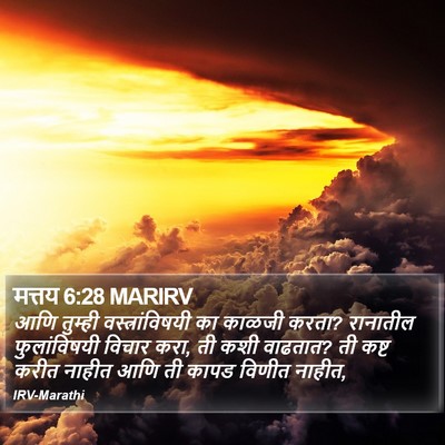 मत्तय 6:28 MARIRV Bible Verse Image