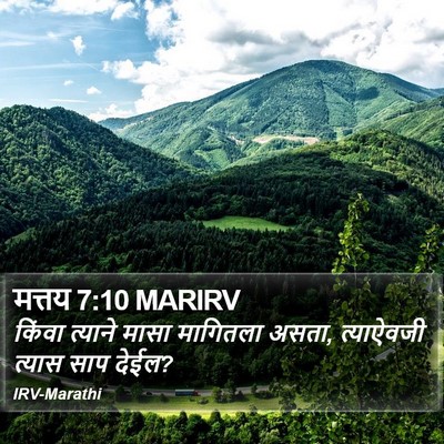 मत्तय 7:10 MARIRV Bible Verse Image