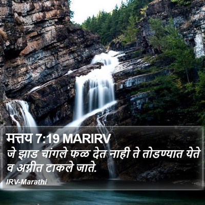 मत्तय 7:19 MARIRV Bible Verse Image