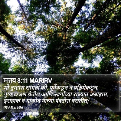 मत्तय 8:11 MARIRV Bible Verse Image
