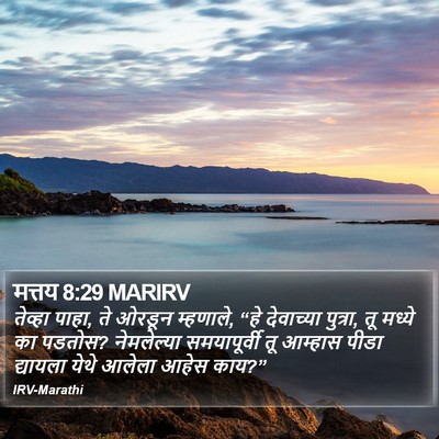 मत्तय 8:29 MARIRV Bible Verse Image