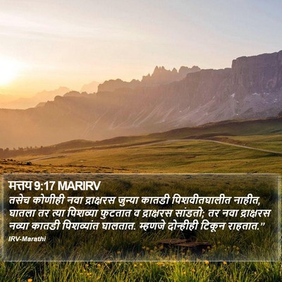 मत्तय 9:17 MARIRV Bible Verse Image