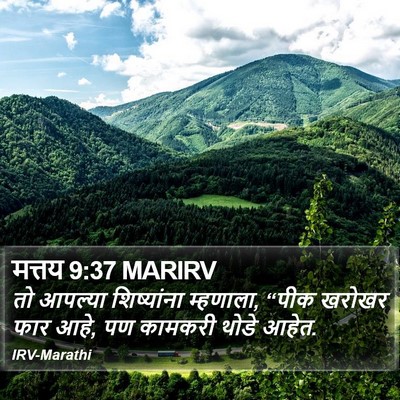 मत्तय 9:37 MARIRV Bible Verse Image