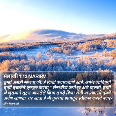 मलाखी 1:13 MARIRV Bible Verse Image