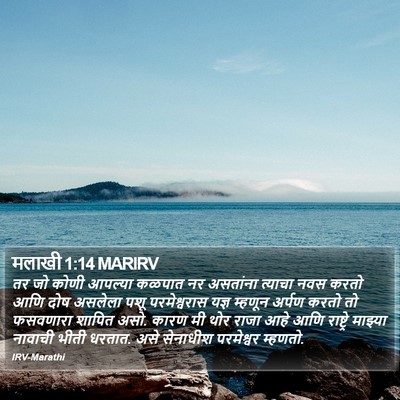 मलाखी 1:14 MARIRV Bible Verse Image