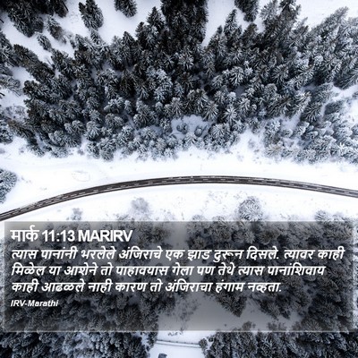 मार्क 11:13 MARIRV Bible Verse Image