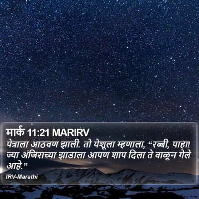 मार्क 11:21 MARIRV Bible Verse Image