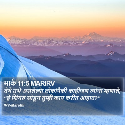 मार्क 11:5 MARIRV Bible Verse Image