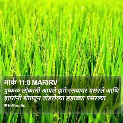 मार्क 11:8 MARIRV Bible Verse Image