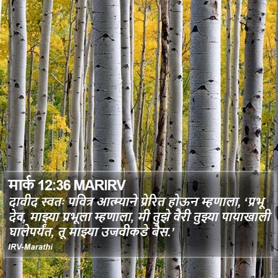 मार्क 12:36 MARIRV Bible Verse Image