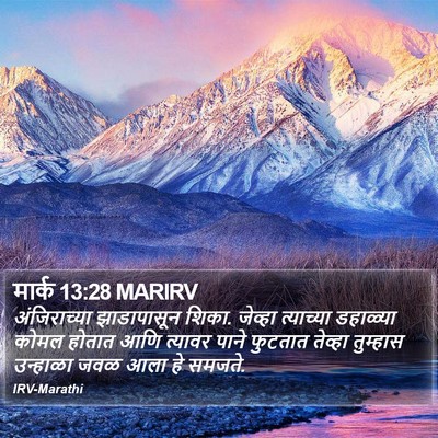 मार्क 13:28 MARIRV Bible Verse Image