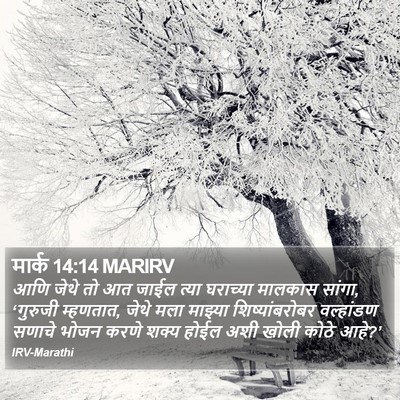 मार्क 14:14 MARIRV Bible Verse Image