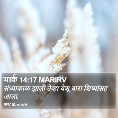 मार्क 14:17 MARIRV Bible Verse Image
