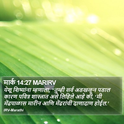 मार्क 14:27 MARIRV Bible Verse Image
