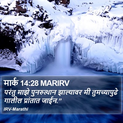 मार्क 14:28 MARIRV Bible Verse Image