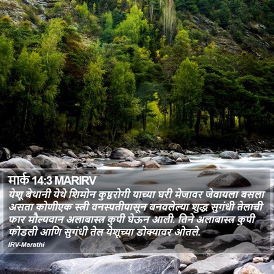 मार्क 14:3 MARIRV Bible Verse Image