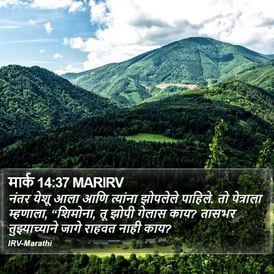 मार्क 14:37 MARIRV Bible Verse Image