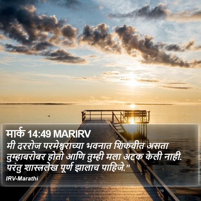 मार्क 14:49 MARIRV Bible Verse Image