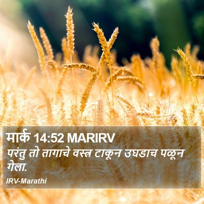 मार्क 14:52 MARIRV Bible Verse Image