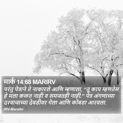 मार्क 14:68 MARIRV Bible Verse Image