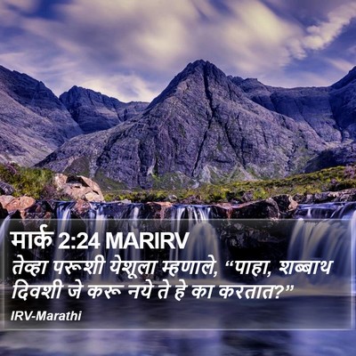 मार्क 2:24 MARIRV Bible Verse Image