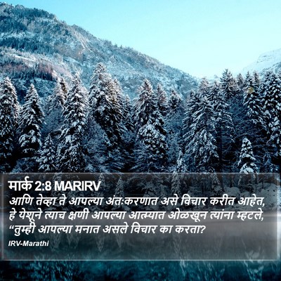 मार्क 2:8 MARIRV Bible Verse Image