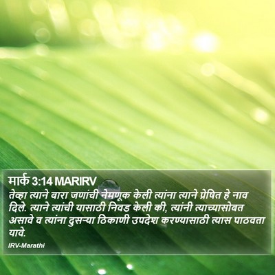 मार्क 3:14 MARIRV Bible Verse Image