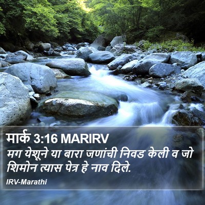 मार्क 3:16 MARIRV Bible Verse Image