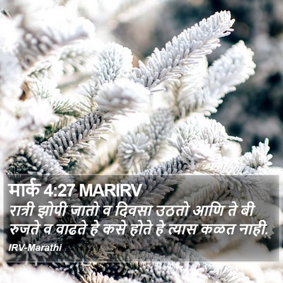 मार्क 4:27 MARIRV Bible Verse Image