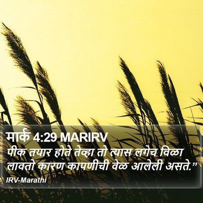 मार्क 4:29 MARIRV Bible Verse Image