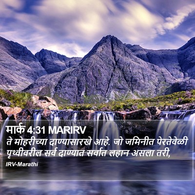 मार्क 4:31 MARIRV Bible Verse Image