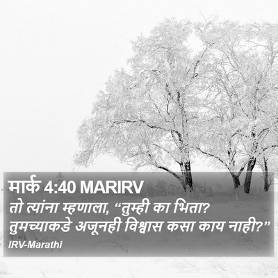 मार्क 4:40 MARIRV Bible Verse Image