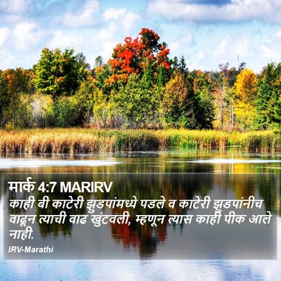 मार्क 4:7 MARIRV Bible Verse Image