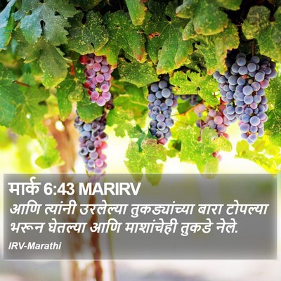 मार्क 6:43 MARIRV Bible Verse Image
